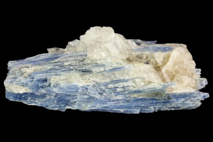 Vibrant Blue Kyanite Crystals In Quartz - Brazil #127365